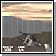 Scared free game