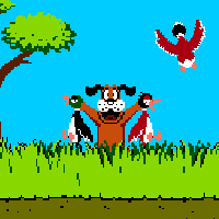 Duck Hunt Reloaded